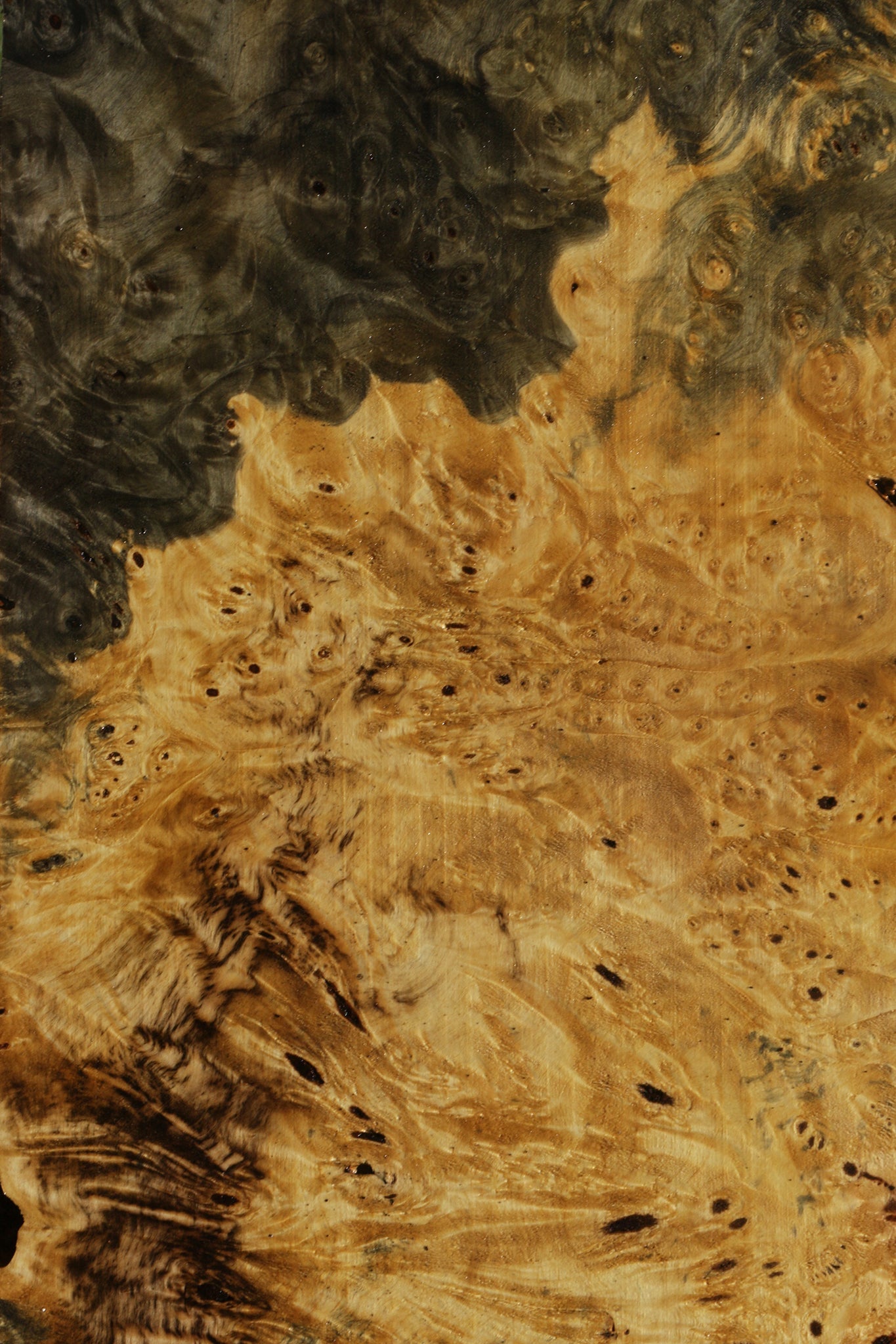 Buckeye Burl Lumber