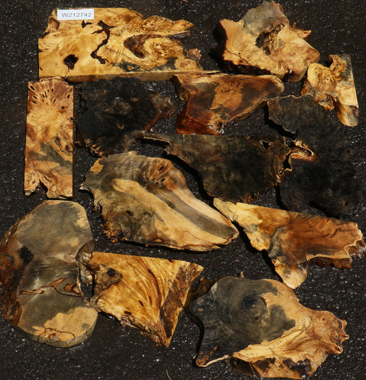 Buckeye Burl Lumber Bargain Box