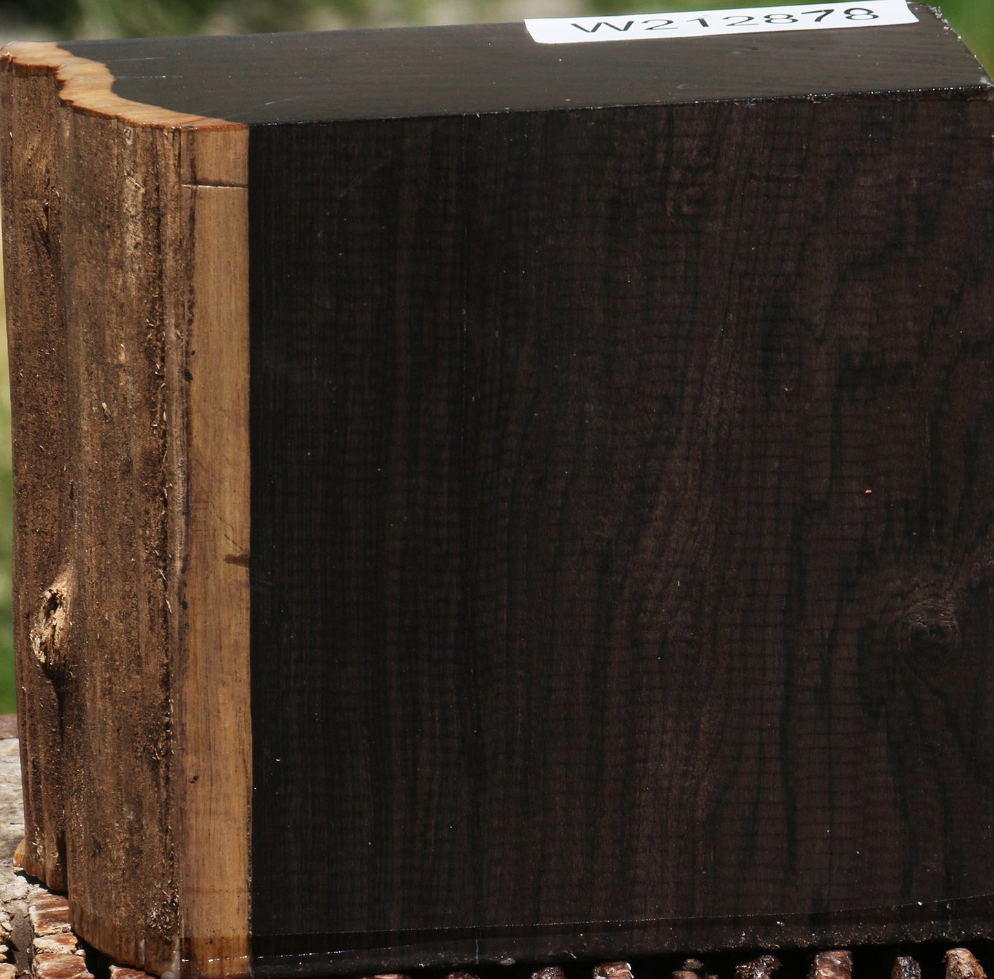 African Blackwood Live Edge Bowl Blank