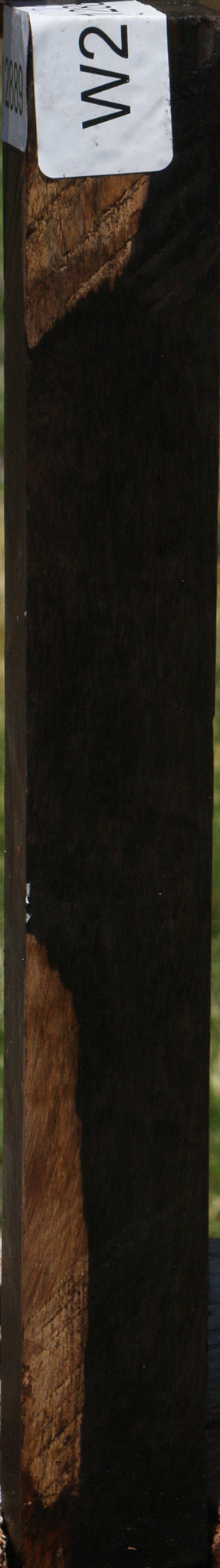 African Blackwood Turning Square