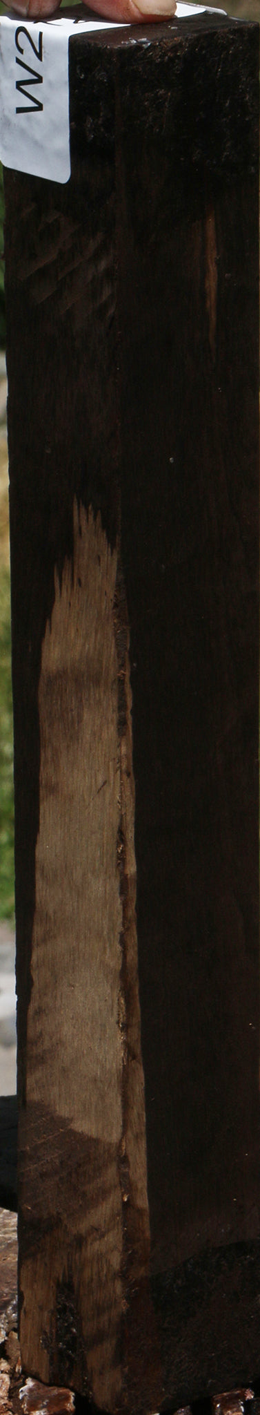 African Blackwood Turning Square