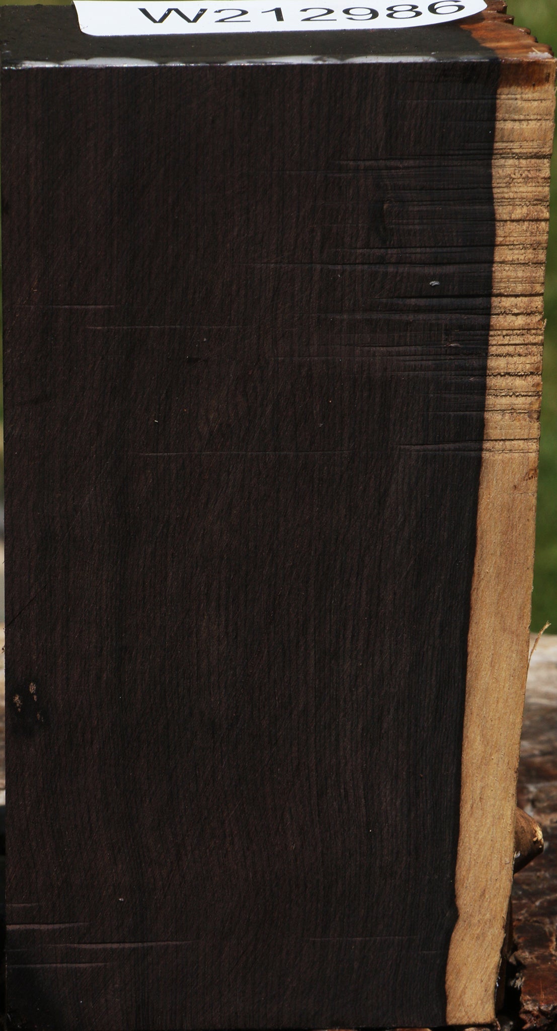 African Blackwood Live Edge Turning Blank