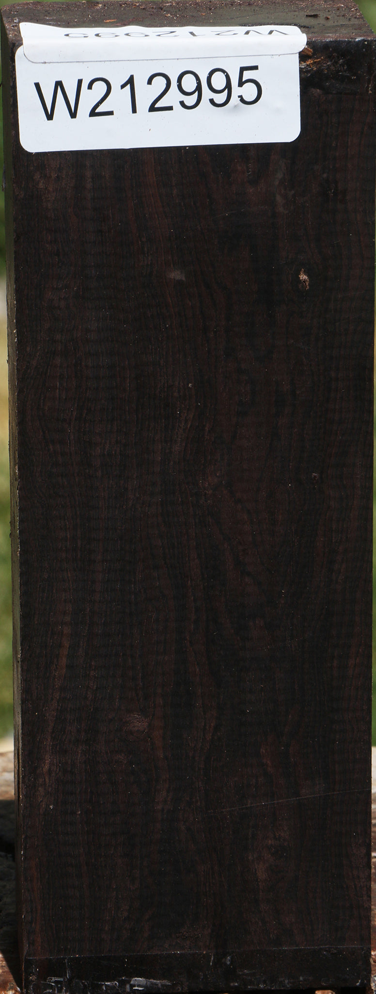 Rustic African Blackwood Turning Blank