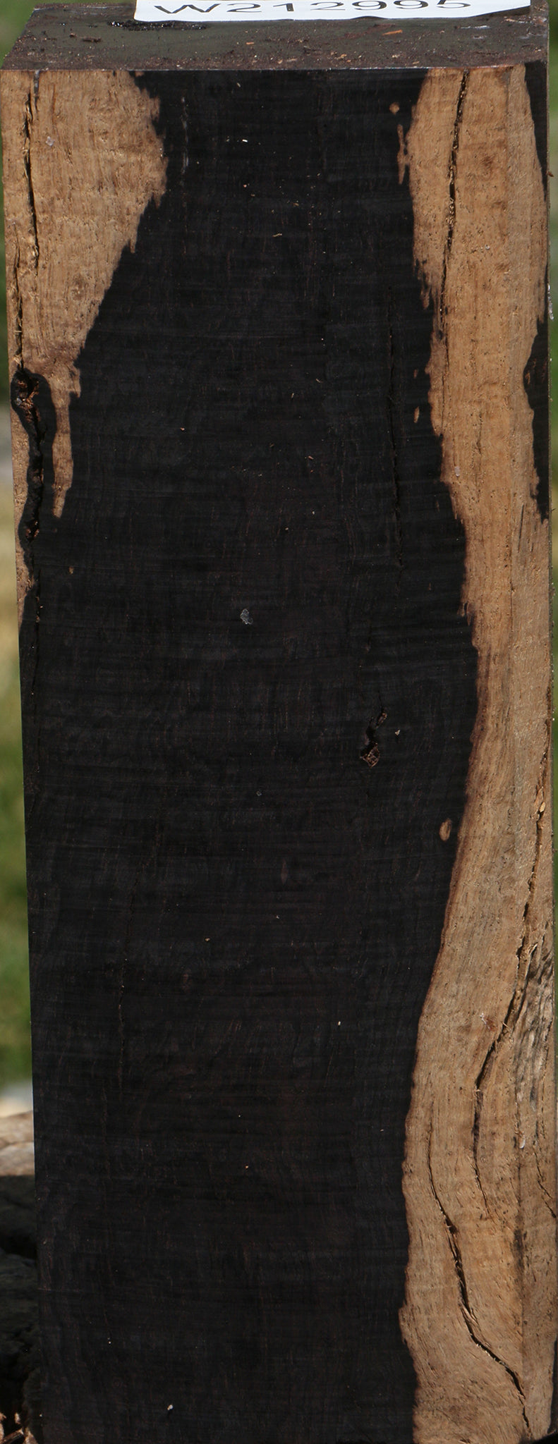 Rustic African Blackwood Turning Blank