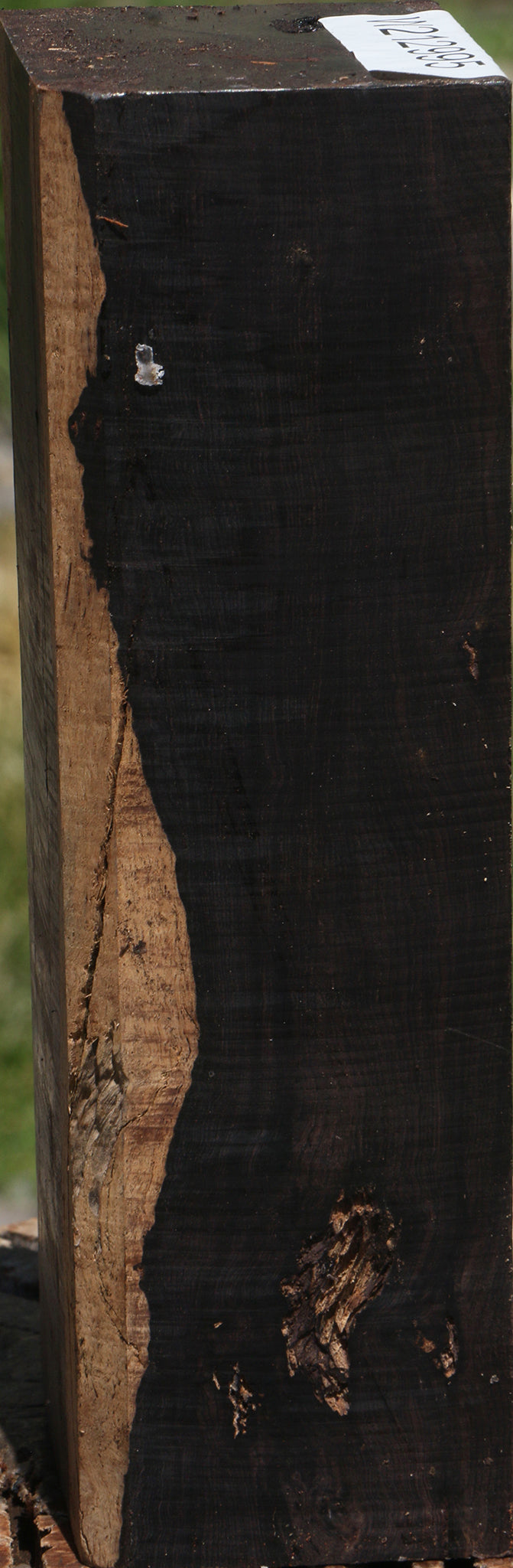 Rustic African Blackwood Turning Blank