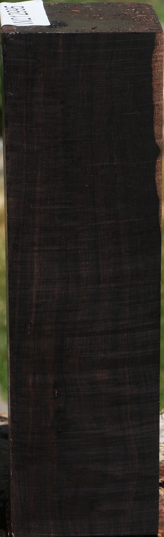 Rustic African Blackwood Turning Blank