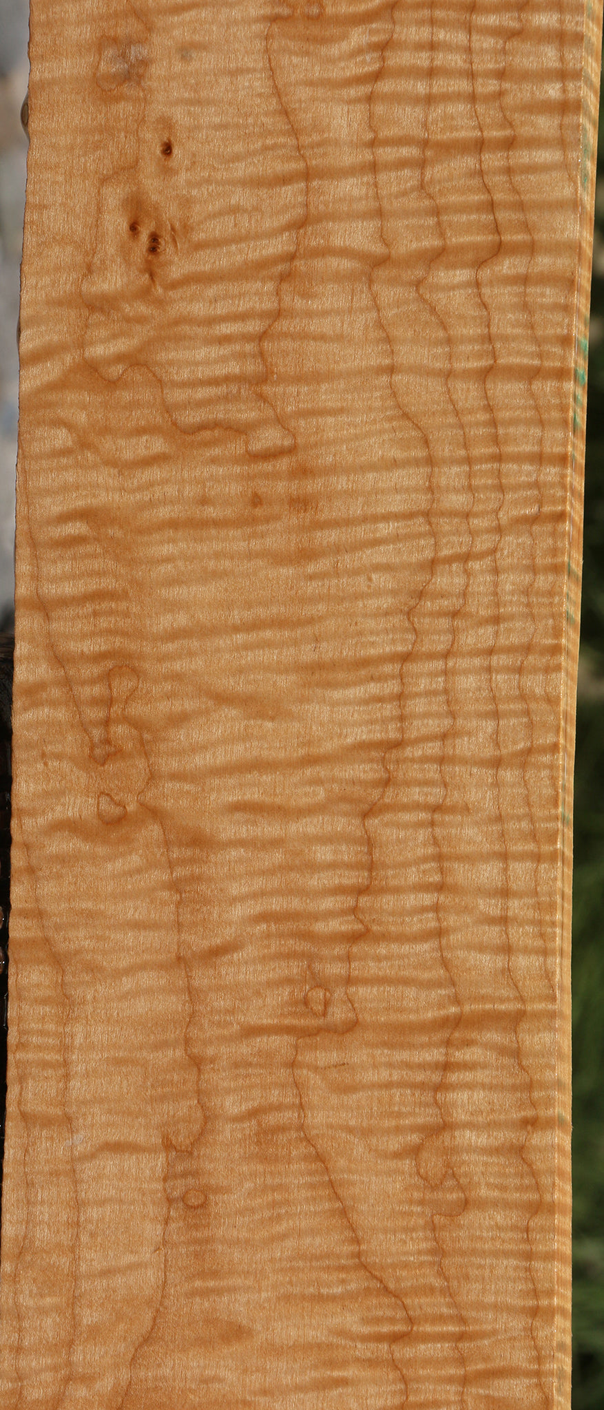 Extra Fancy Fiddleback Maple Lumber