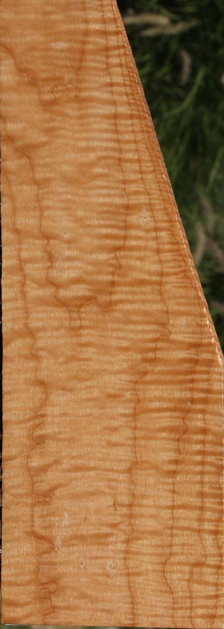 Extra Fancy Maple Lumber