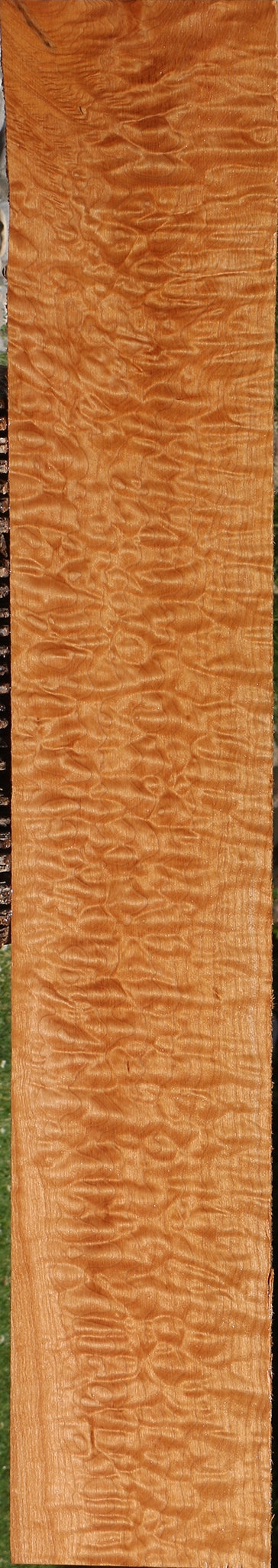 AAAAA Quilted Maple Instrument Lumber