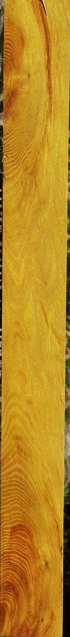 Extra Fancy Osage Orange Lumber