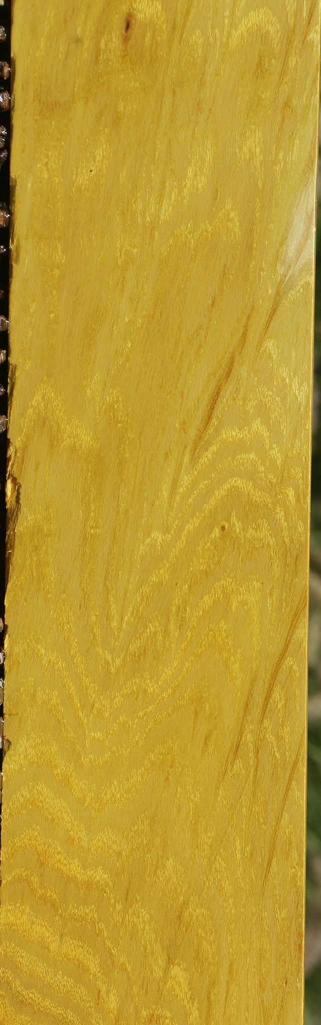 Extra Fancy Osage Orange Lumber