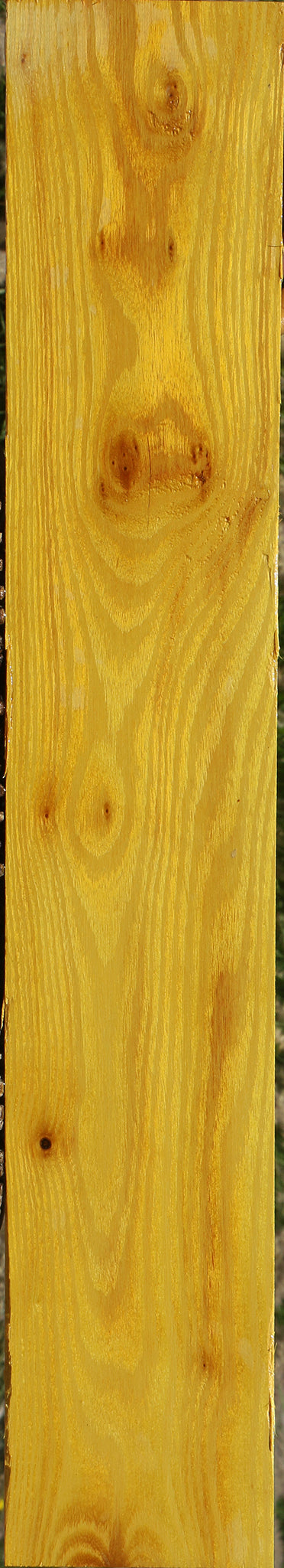 Osage Orange Lumber