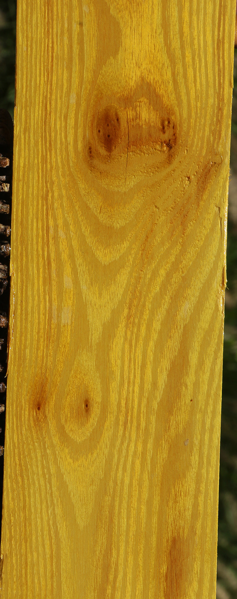 Osage Orange Lumber