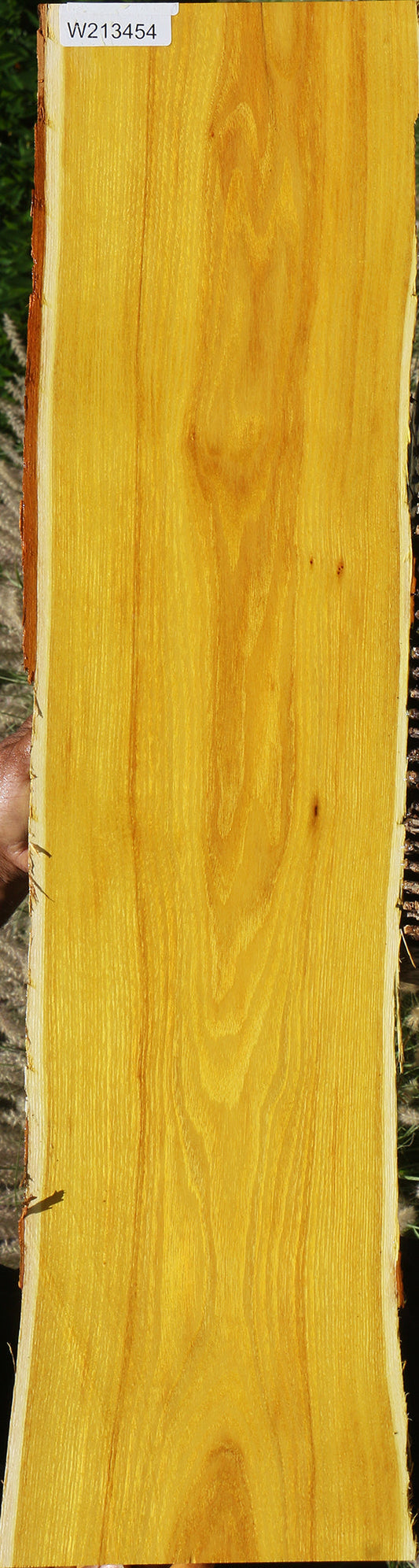 Osage Orange Live Edge Lumber