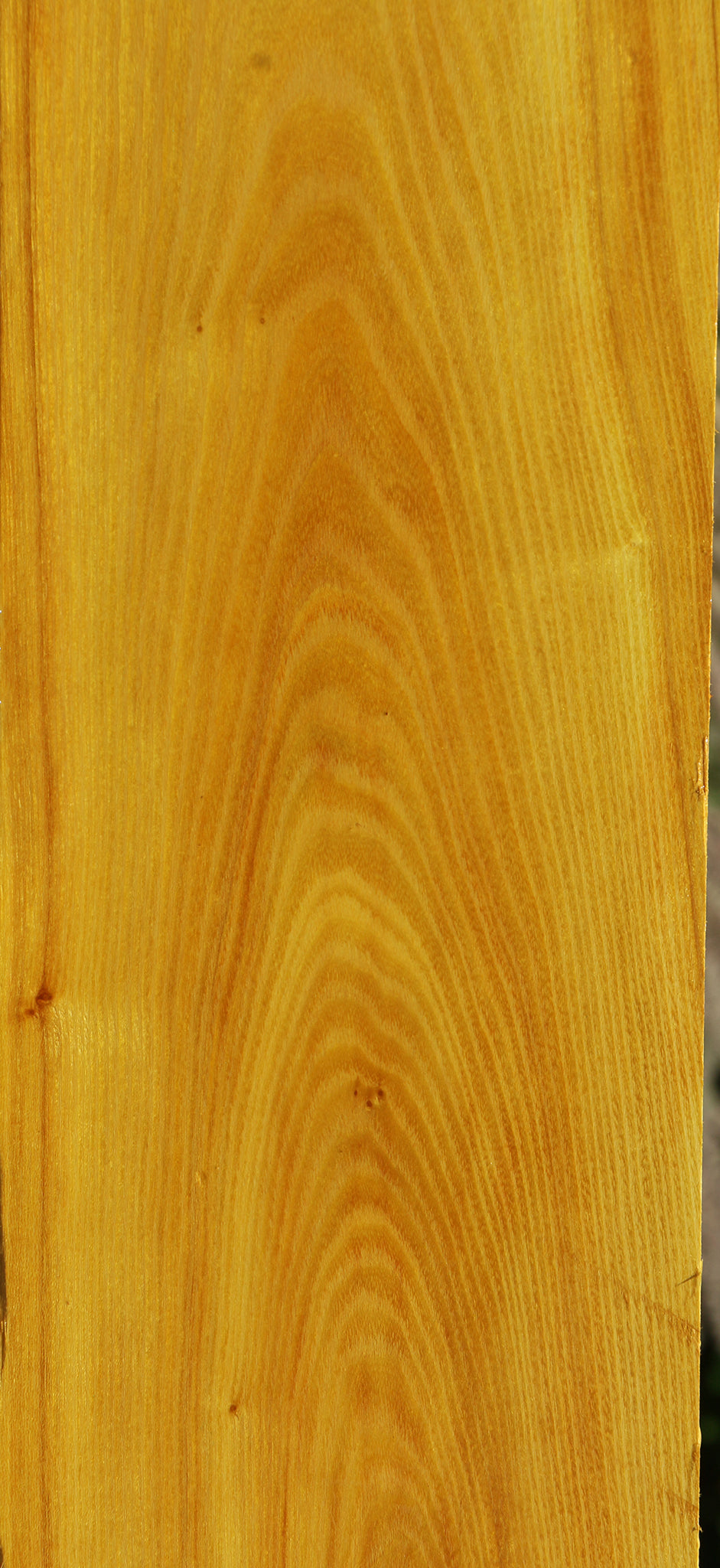 Osage Orange Lumber