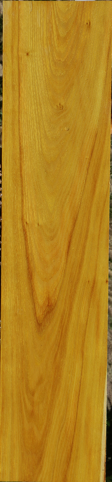 Osage Orange Lumber