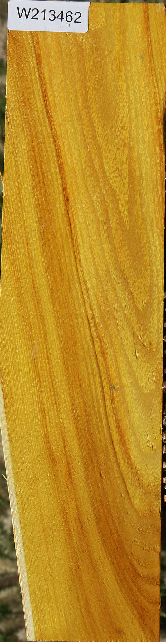 Osage Orange Lumber