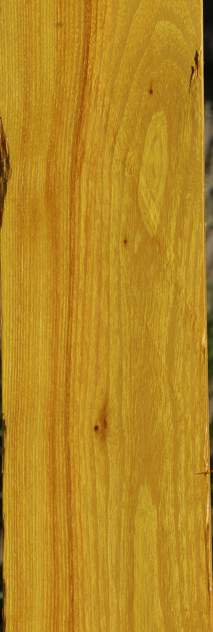 Osage Orange Lumber