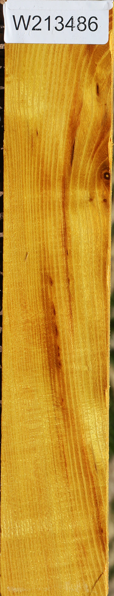 Extra Fancy Osage Orange Lumber