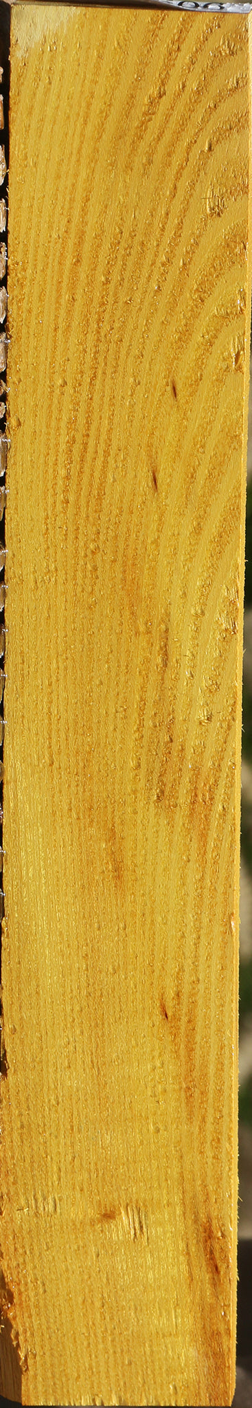 Osage Orange Lumber