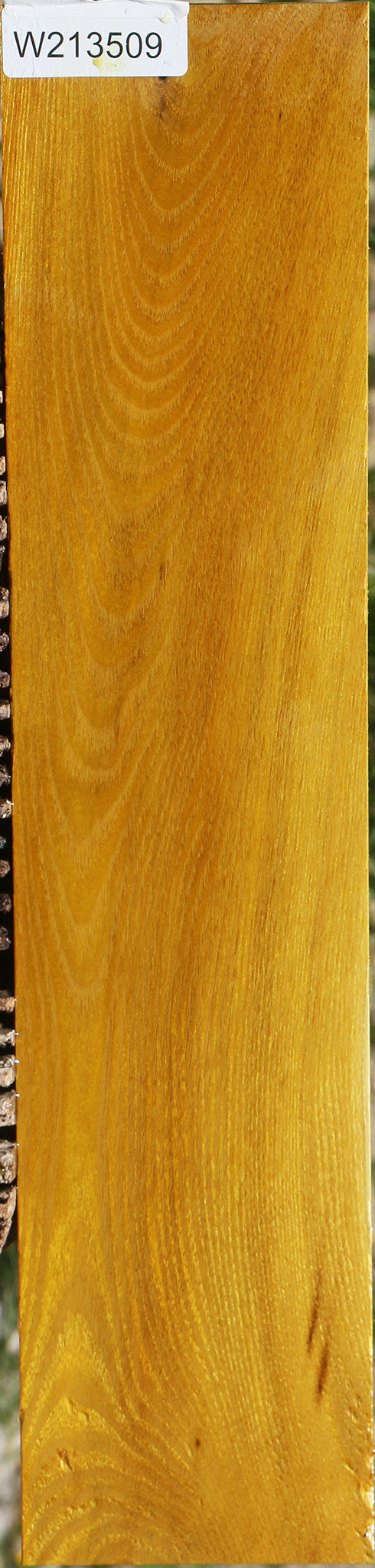 Osage Orange Lumber