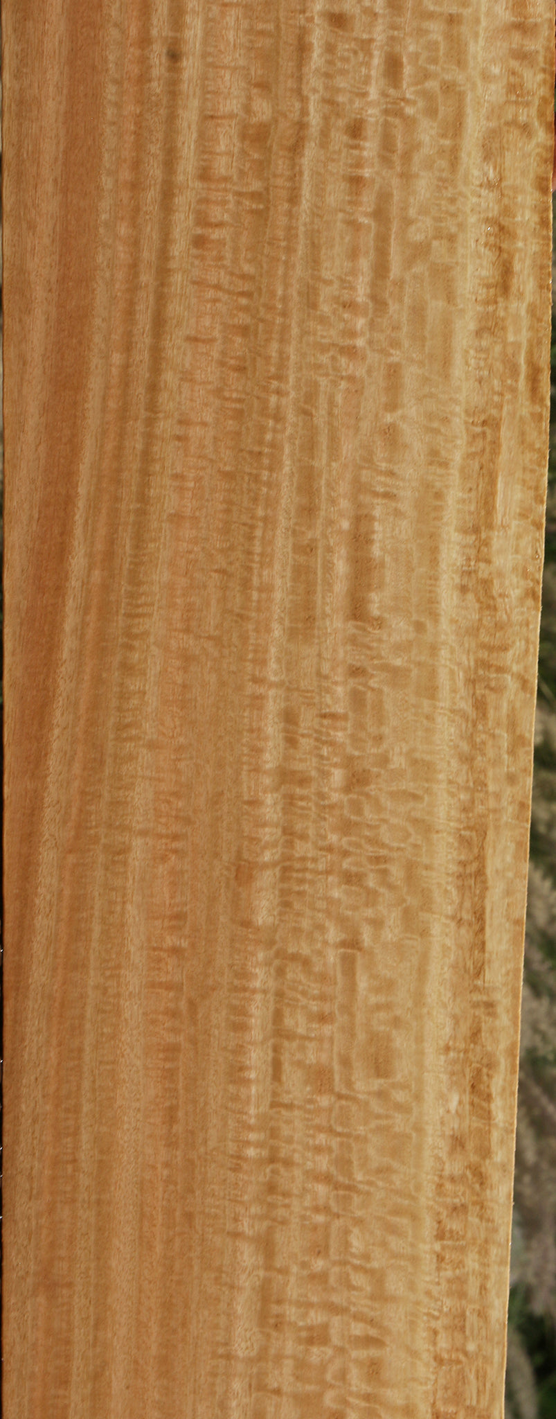 Extra Fancy Eucalyptus Lumber