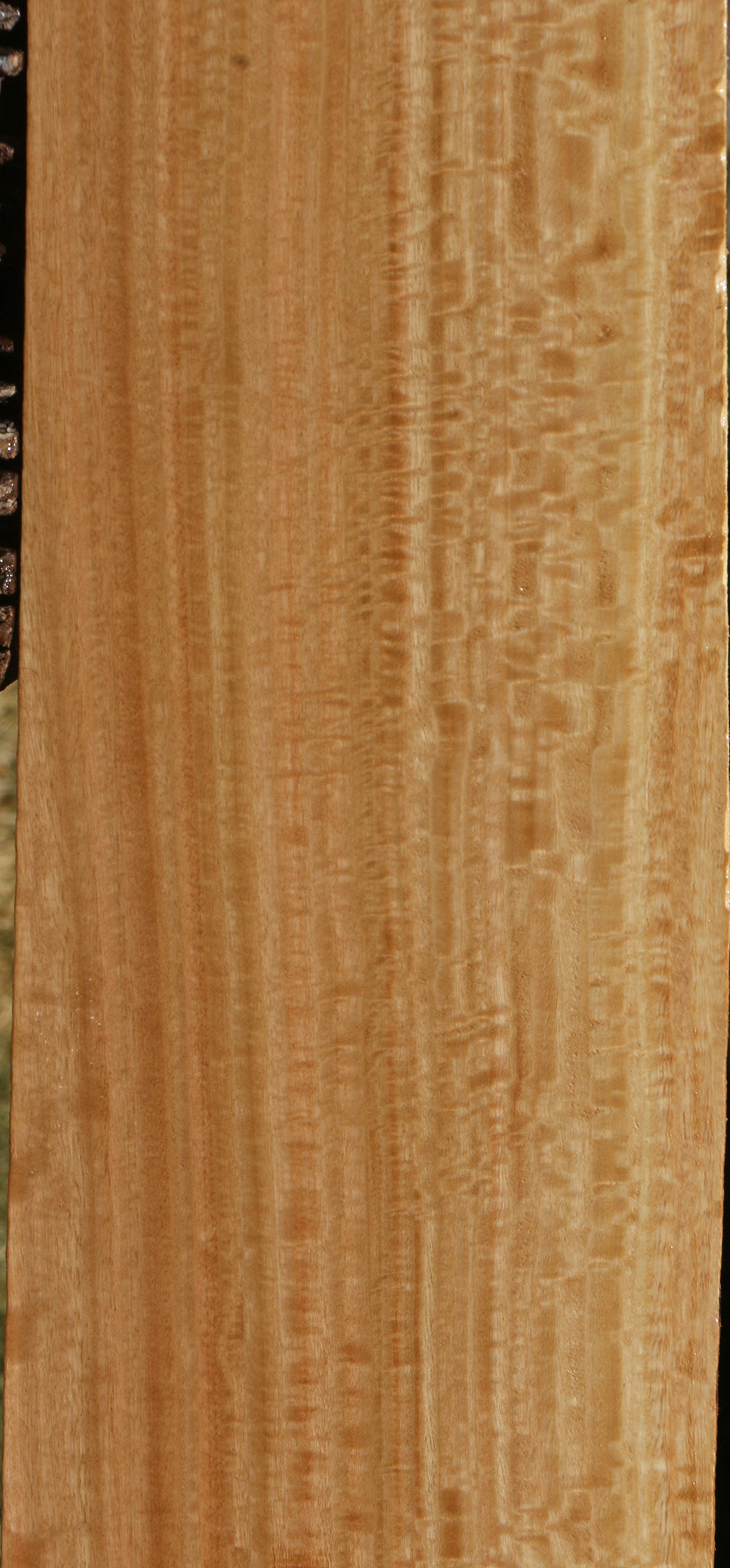 Extra Fancy Eucalyptus Lumber