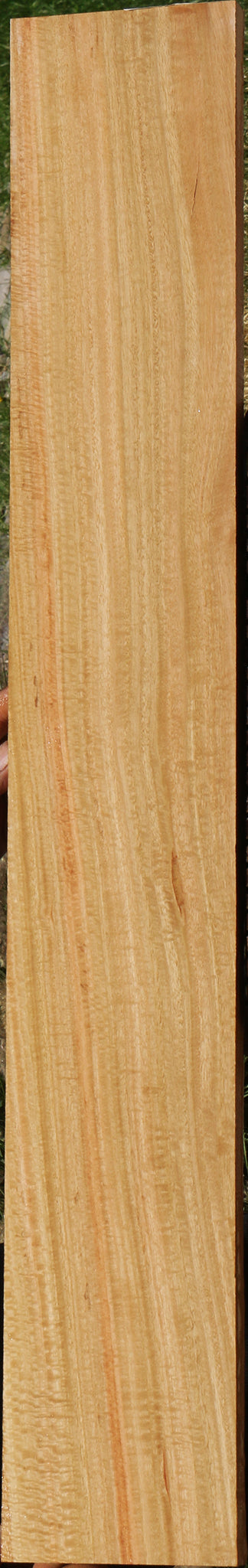 Extra Fancy Eucalyptus Lumber