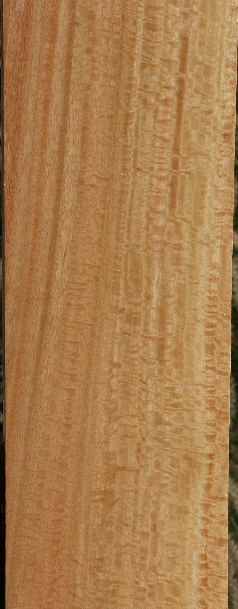 Extra Fancy Eucalyptus Lumber