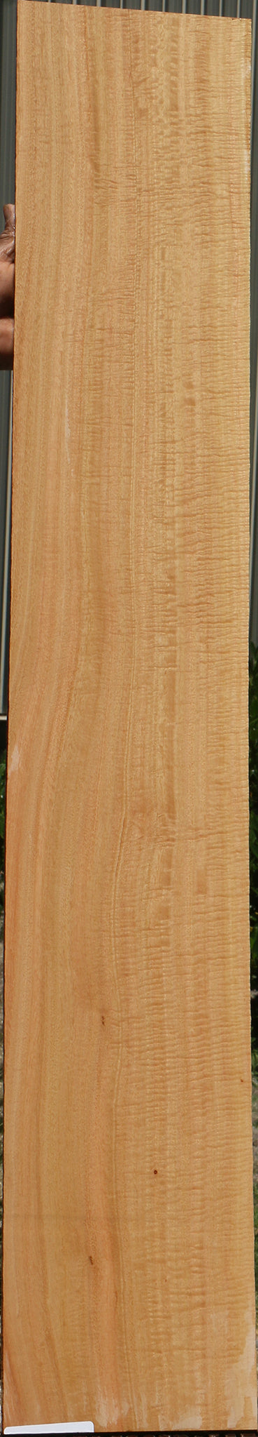 Exhibition Eucalyptus Micro Lumber