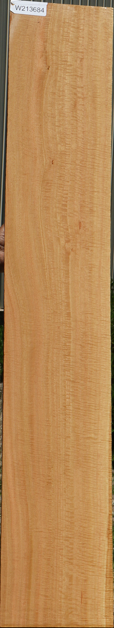 Exhibition Eucalyptus Micro Lumber