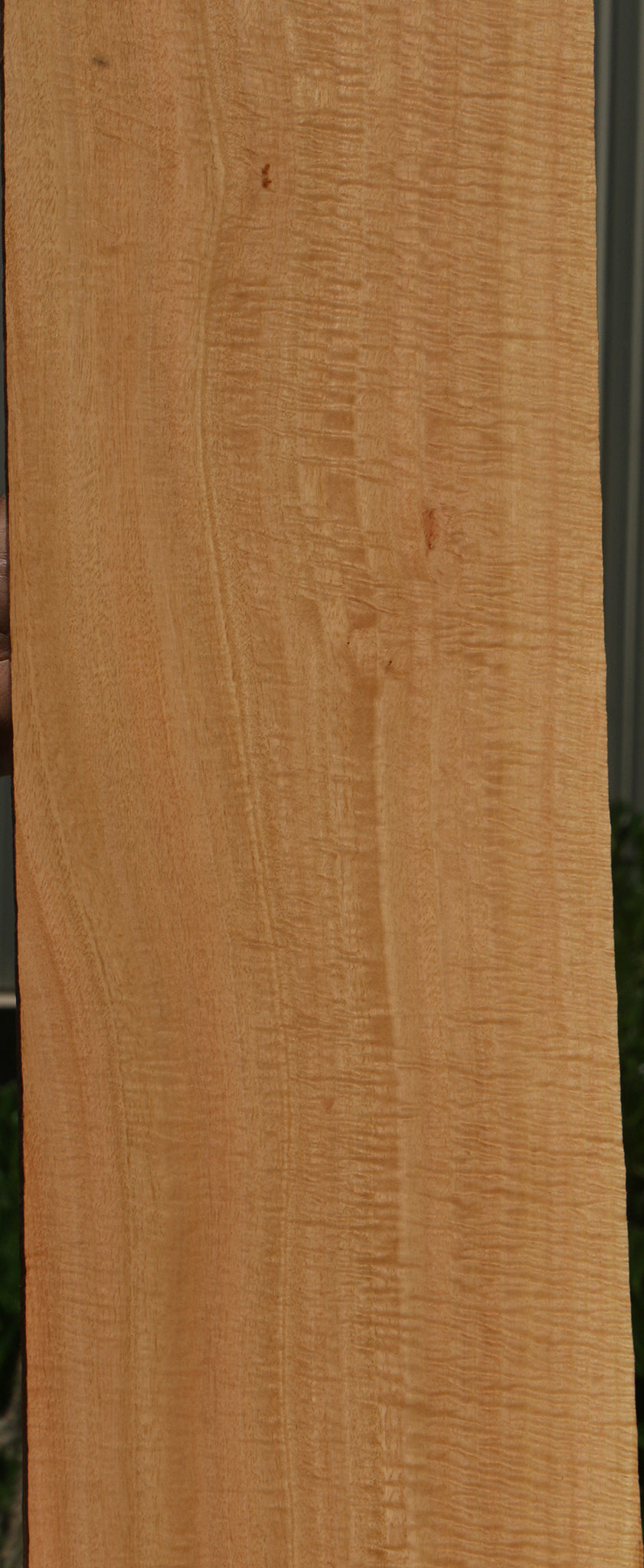 Exhibition Eucalyptus Micro Lumber