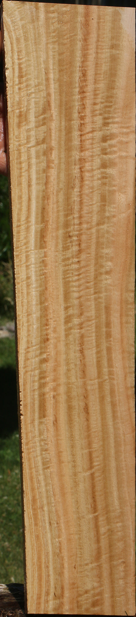 Extra Fancy Eucalyptus Micro Lumber