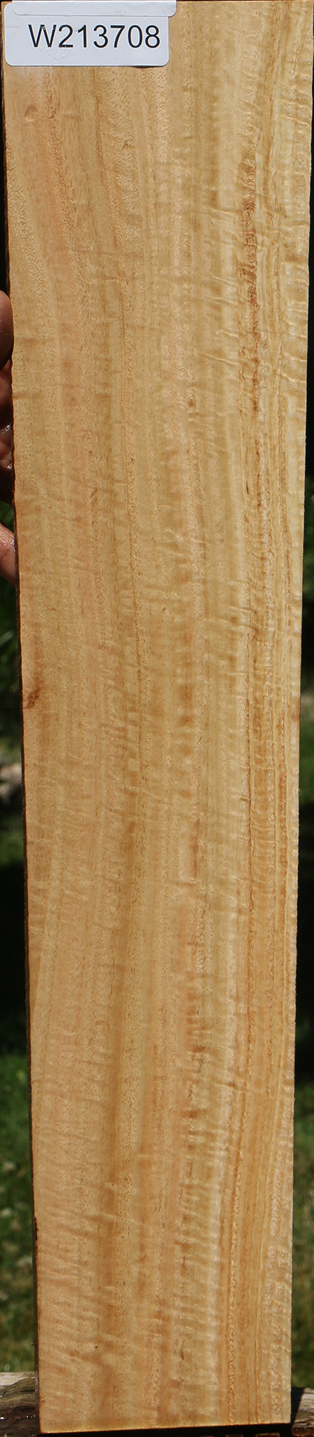 Extra Fancy Eucalyptus Micro Lumber