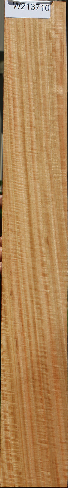 Extra Fancy Eucalyptus Micro Lumber