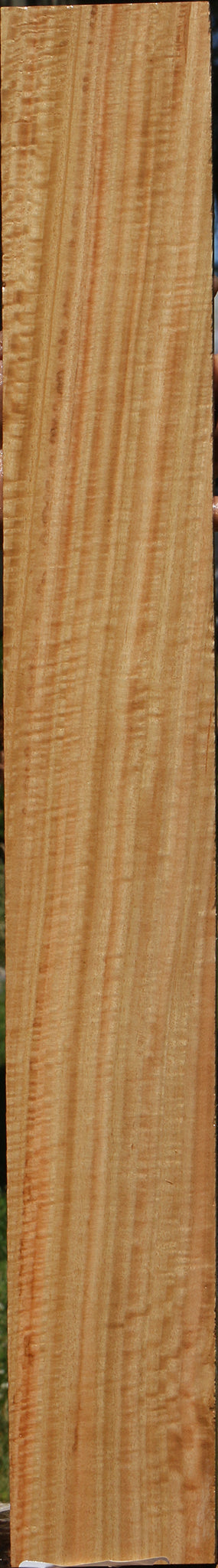 Extra Fancy Eucalyptus Micro Lumber