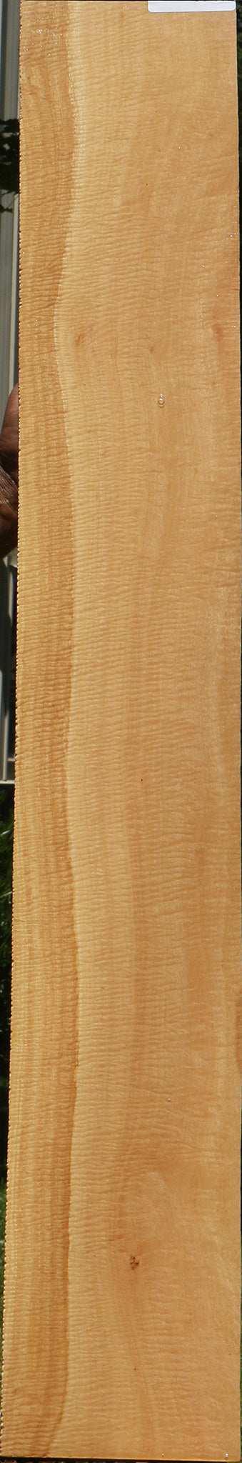 Exhibition Eucalyptus Micro Lumber