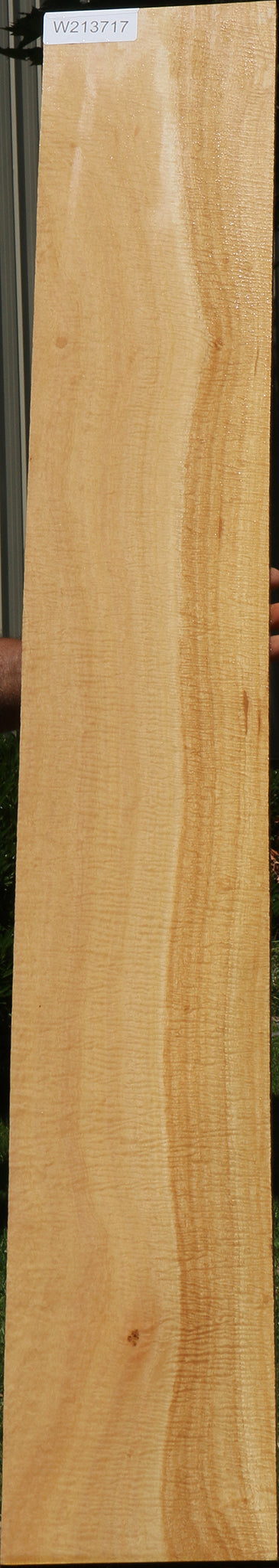 Exhibition Eucalyptus Micro Lumber