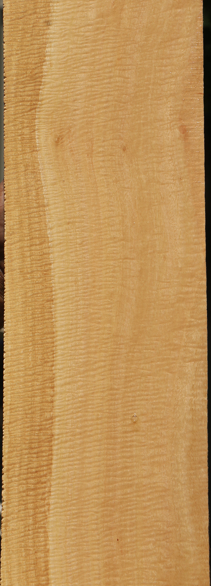 Exhibition Eucalyptus Micro Lumber