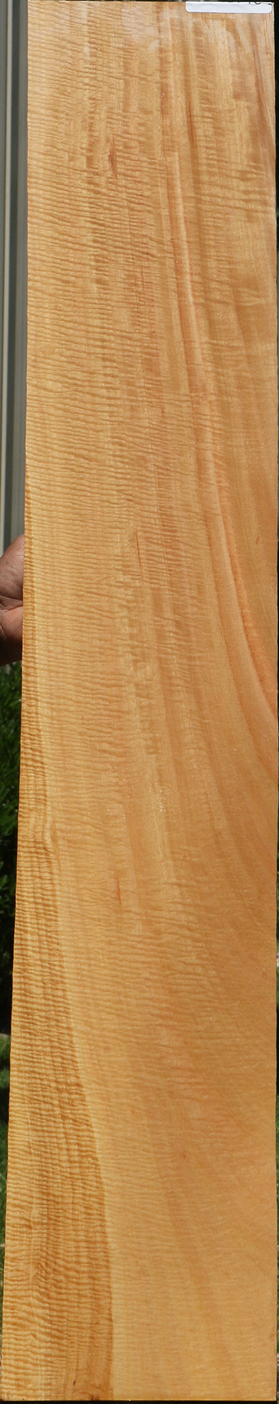 Exhibition Eucalyptus Micro Lumber