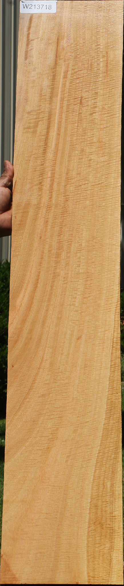 Exhibition Eucalyptus Micro Lumber