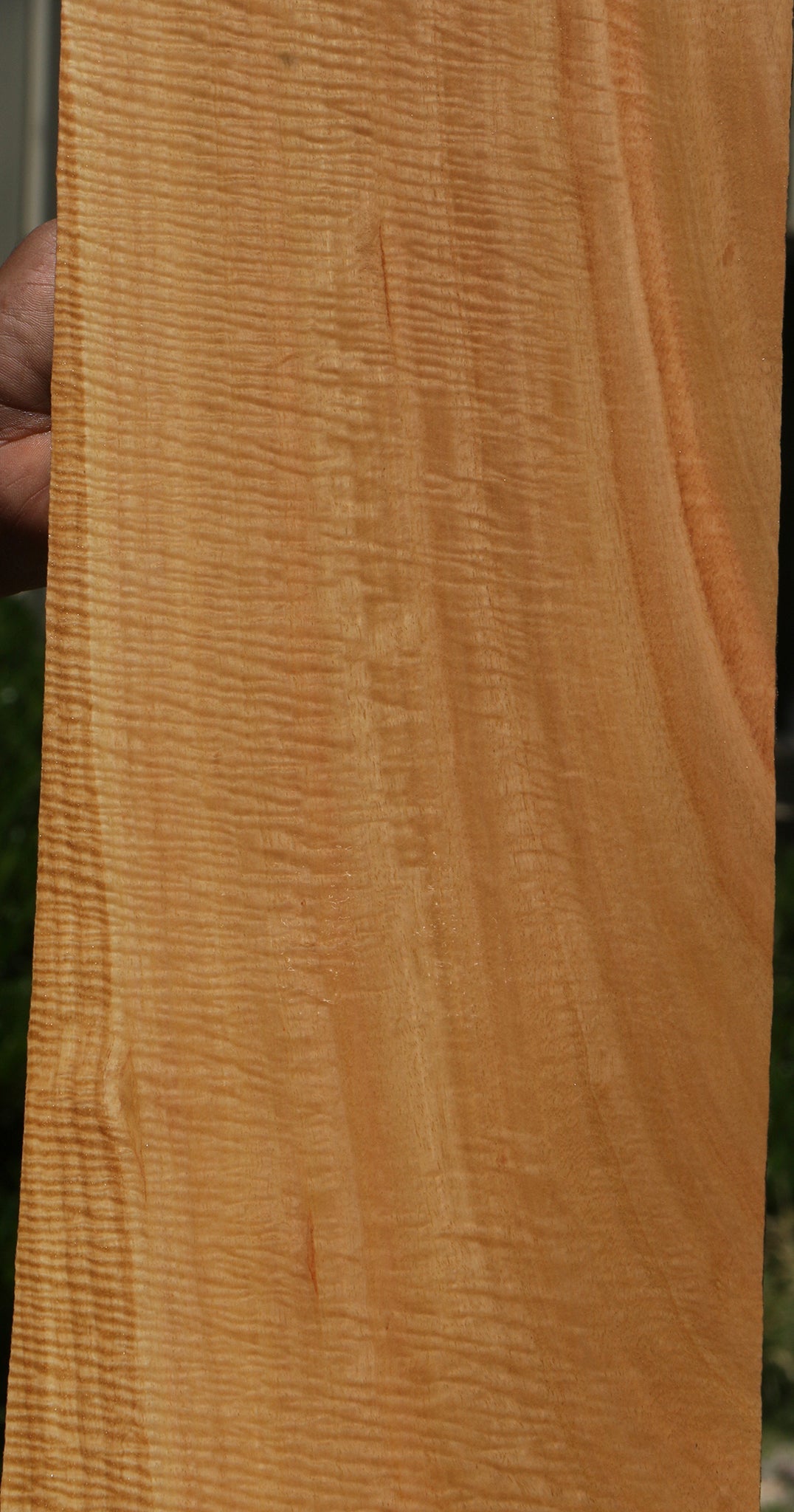 Exhibition Eucalyptus Micro Lumber