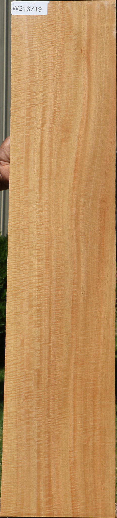 Extra Fancy Eucalyptus Micro Lumber