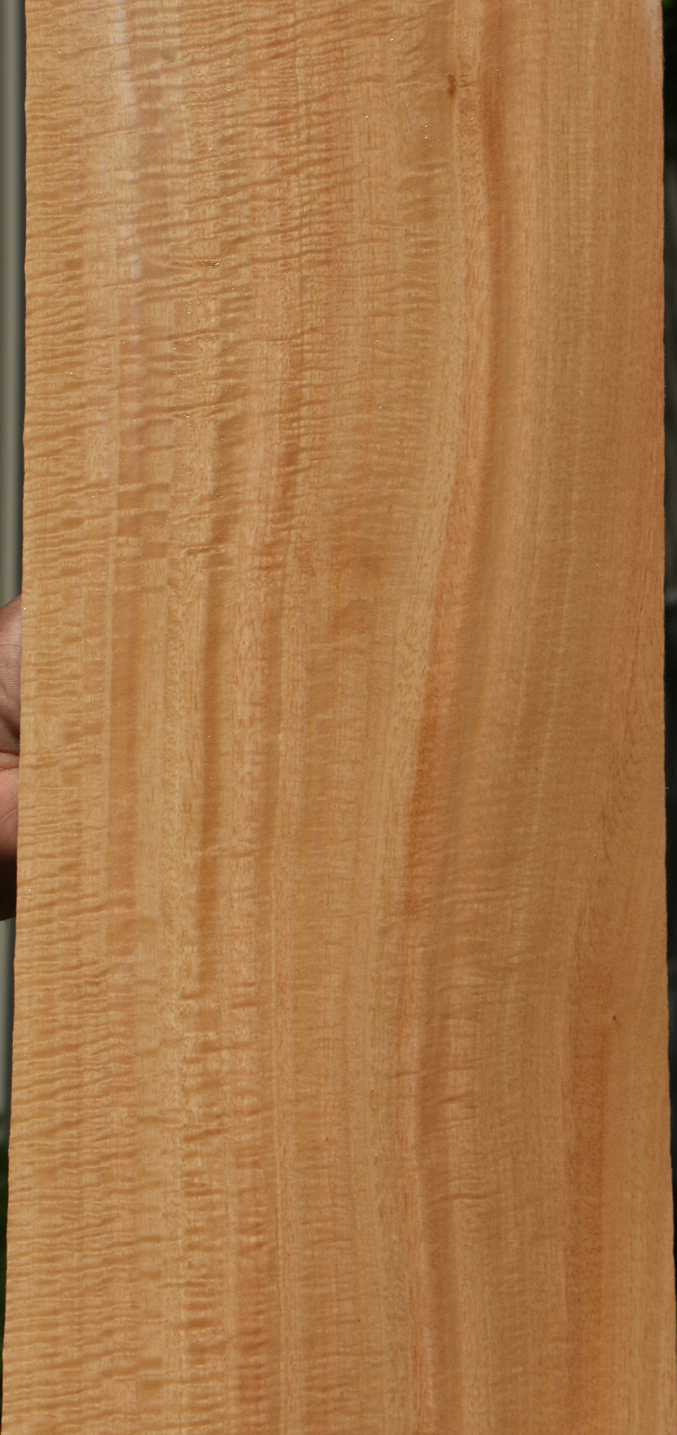 Extra Fancy Eucalyptus Micro Lumber