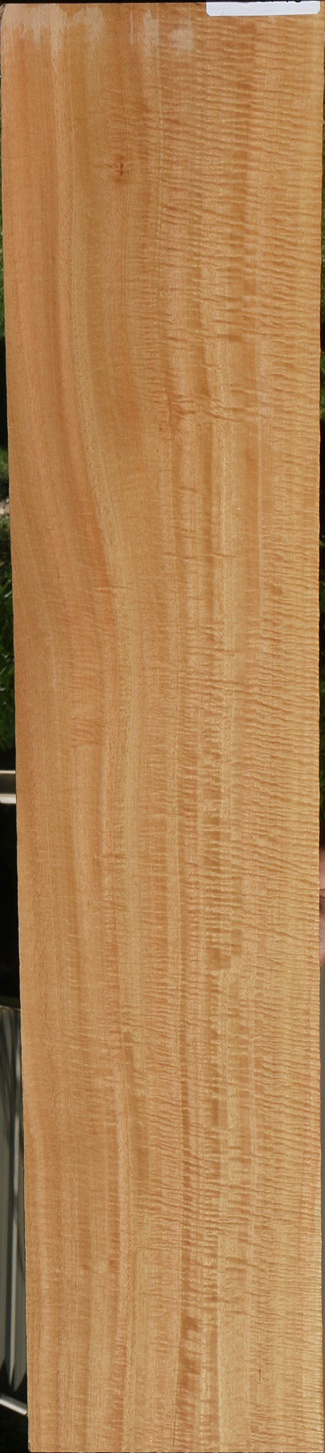 Extra Fancy Eucalyptus Micro Lumber