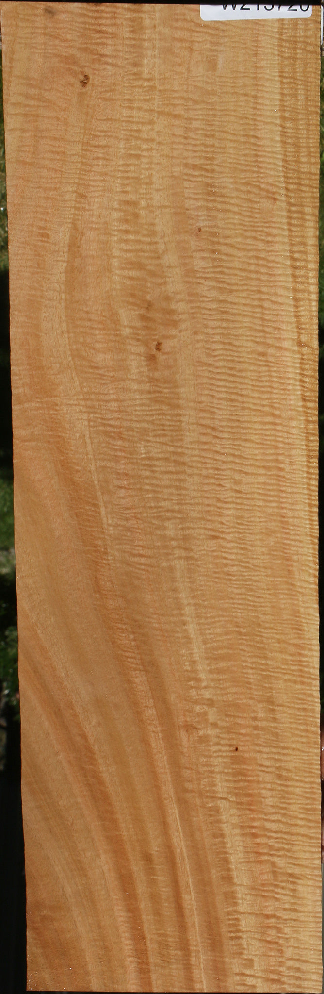 Exhibition Eucalyptus Micro Lumber