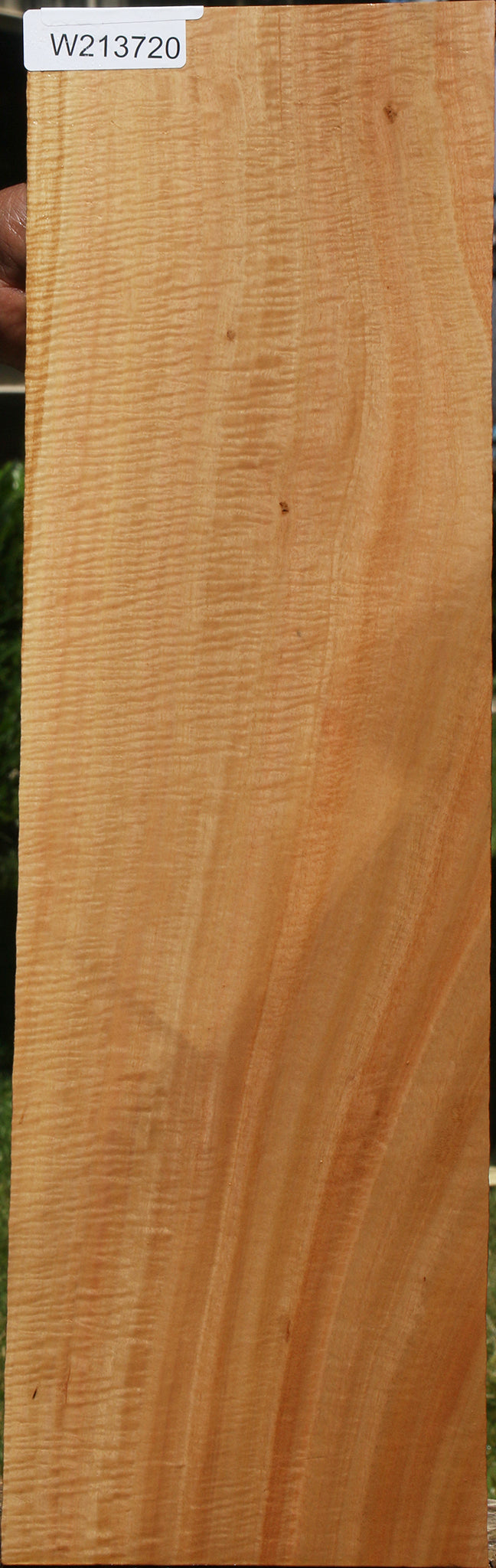 Exhibition Eucalyptus Micro Lumber