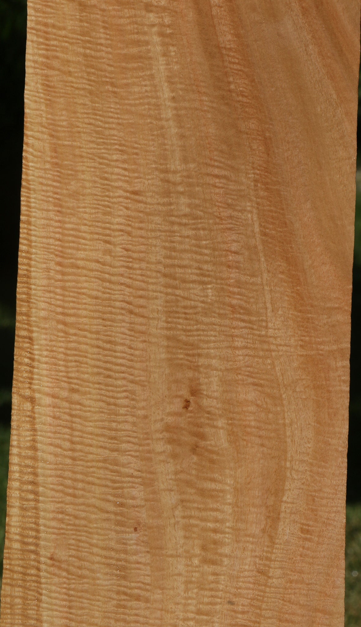 Exhibition Eucalyptus Micro Lumber