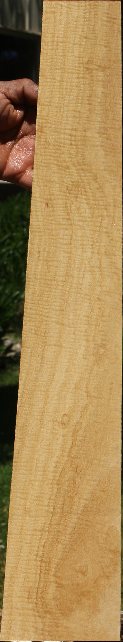 Exhibition Eucalyptus Micro Lumber