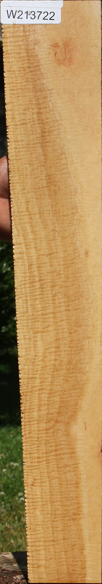 Exhibition Eucalyptus Micro Lumber